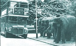 You too can meet girls at a bus stop. Yes. One just like this one.